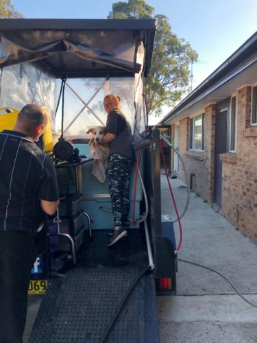 %dog and cat boarding kennels sydney %pet boarding services